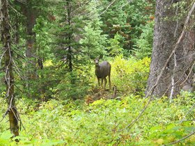 IMG_6290.JPG