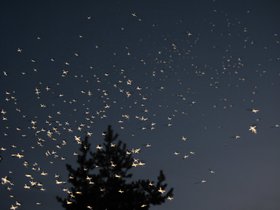 IMG_6824.JPG
