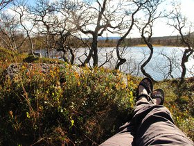 IMG_7229.JPG